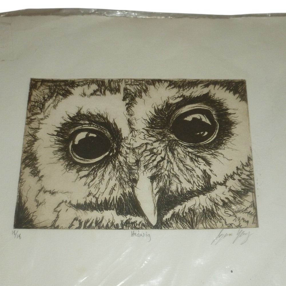 Lynn Young Hedwig Owl Etching Limited Edition Print Harry Potter Art 5x7in